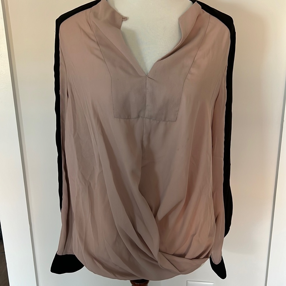 Sheer Nude and Black Blouse